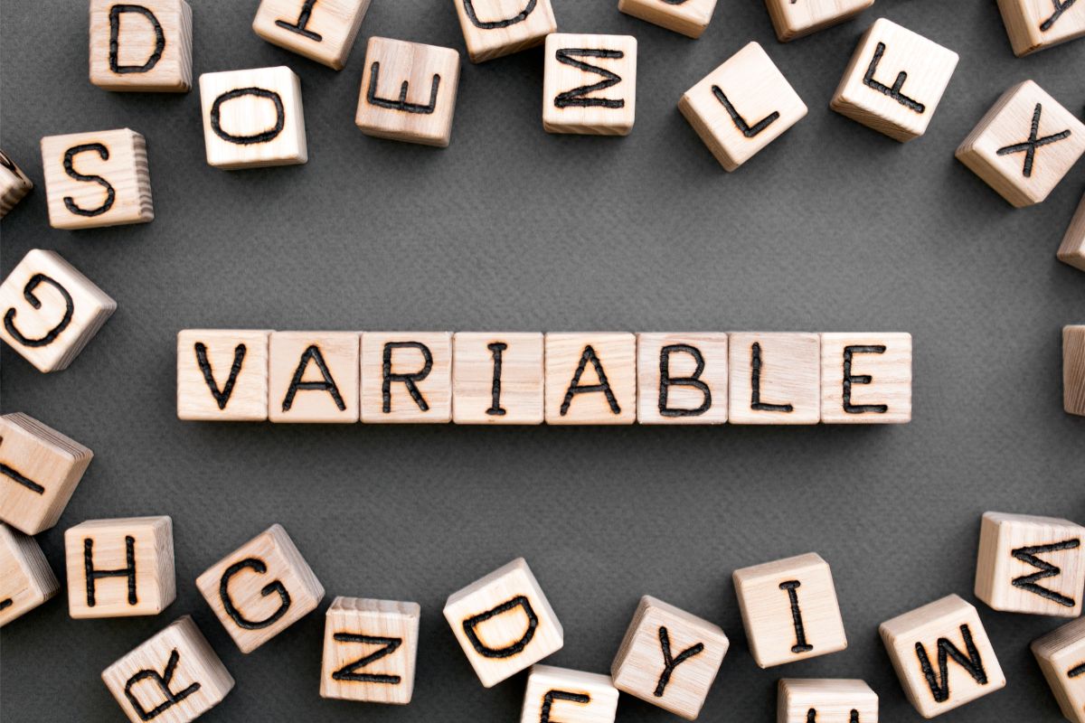 What Is A Variable